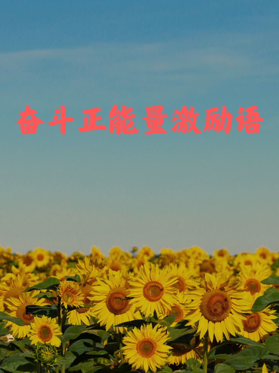 激励于奋斗!选手展现精彩表现 激励于奋斗!选手展现精彩表现