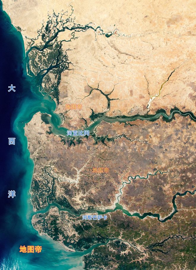 塞内加尔不敌冈比亚,小组赛终结 塞内加尔不敌冈比亚,小组赛终结